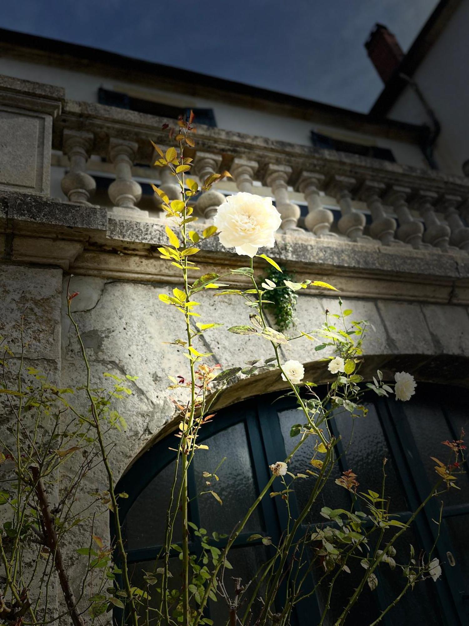ホテル Richard Lequet Domaine Gastronomique Du Val D Atur ブラザック エクステリア 写真